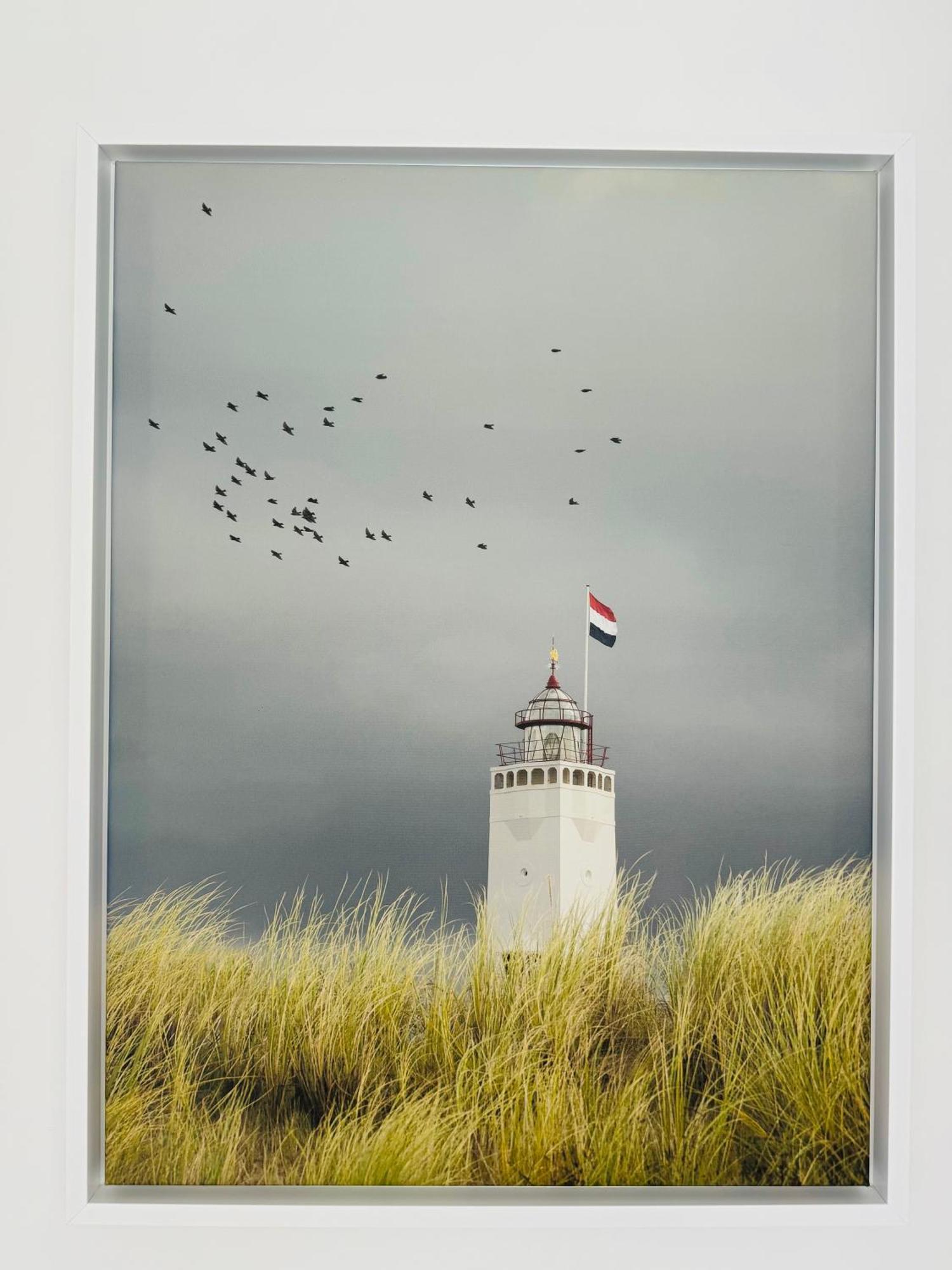 Familie Vakantiehuis - Zonneweelde Noordwijk Exterior photo